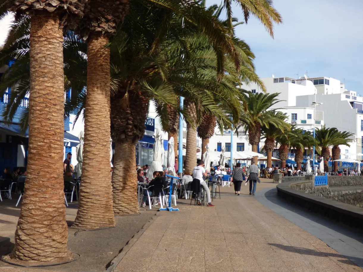 Allée bordée de gros troncs de palmiers et de terrasses
