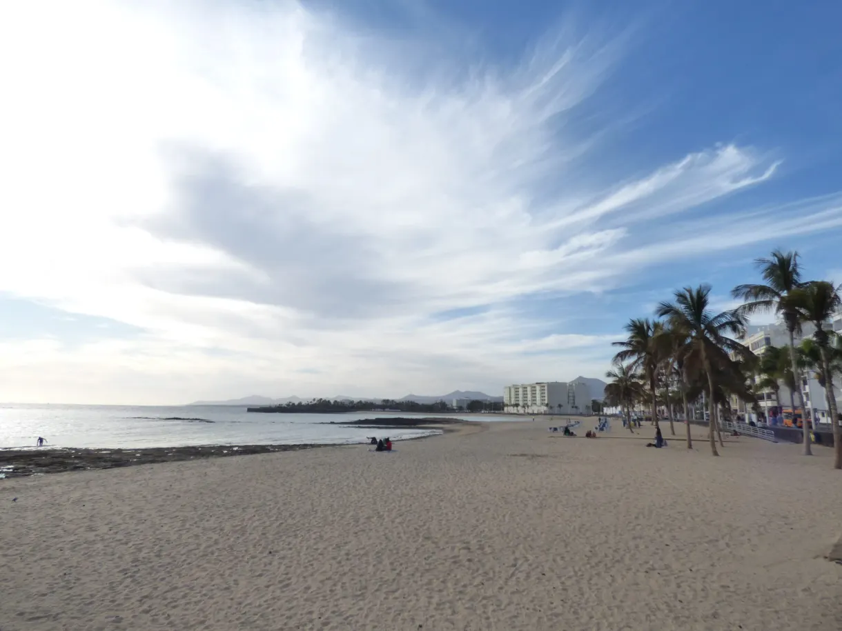 Plage de sable ourlée de palmiers en fin de journée
