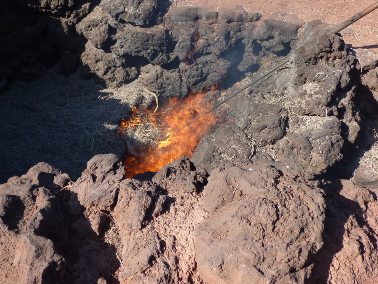 Broussailles enflammées par la chaleur du sol volcanique