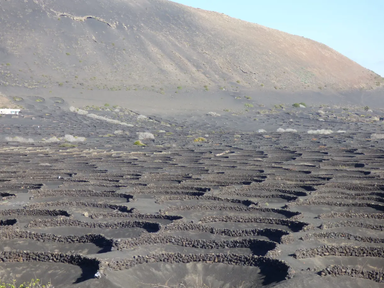 Pente entière couverte de murets face à un volcan gris