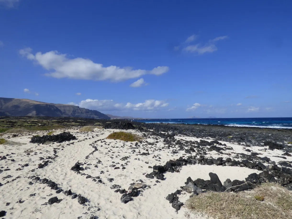 Cercles de pierres noires posés sur le sable blanc
