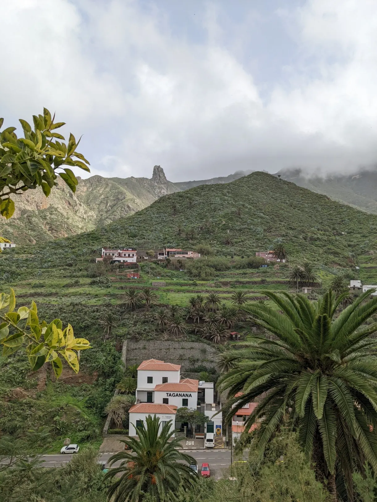 Maisons de Taganana devant le roque et les bananiers