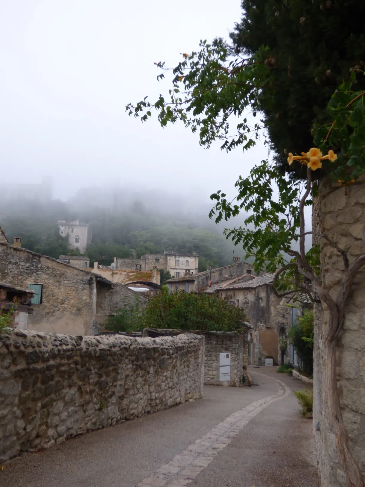 Village lane wrapped in mist along a stone wall