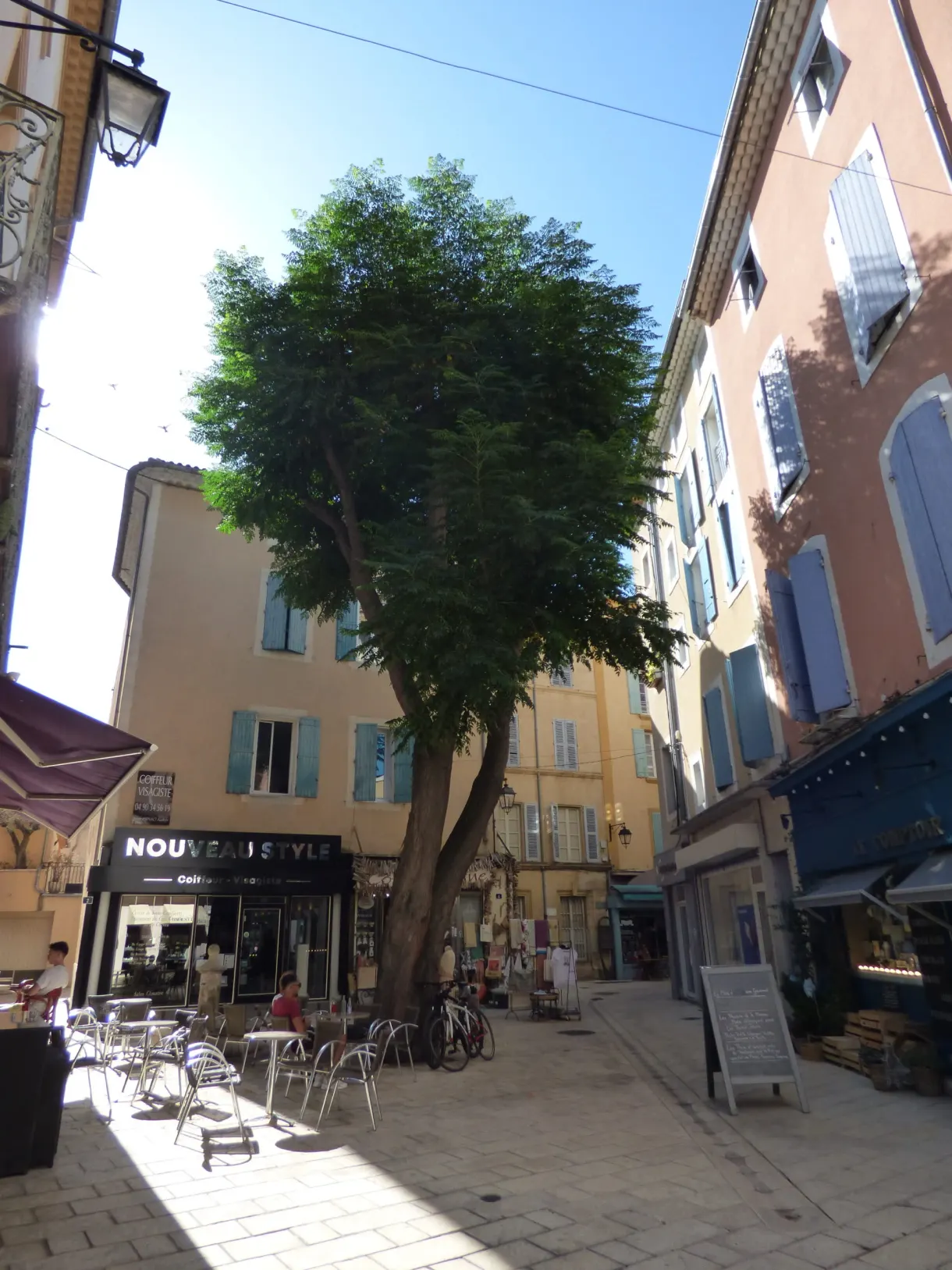 Grand arbre et terrasse de café dans une rue piétonne d'Orange