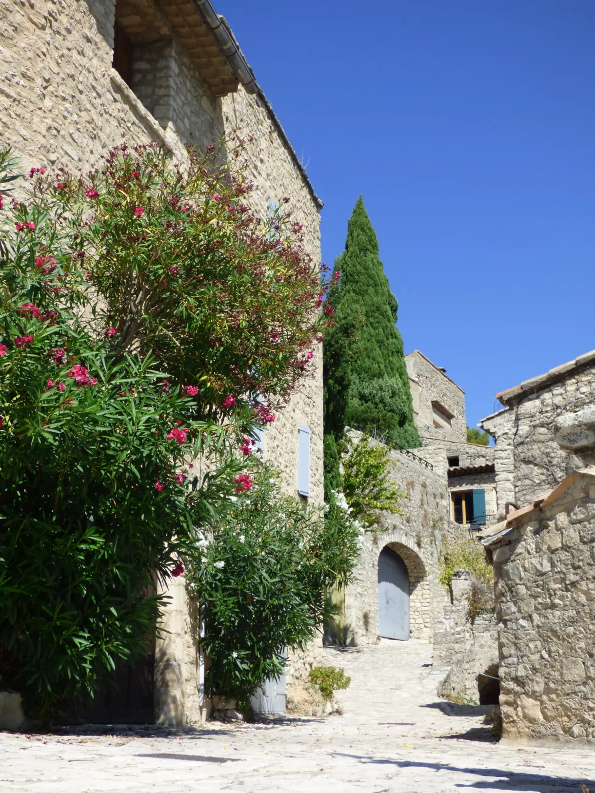 Laurier-rose fleuri contre les murs de pierre du village