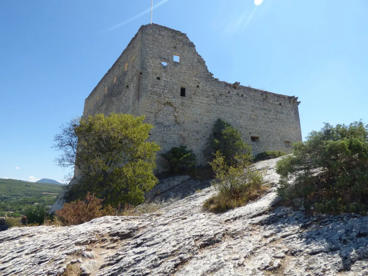 Ruines du château médiéval dressées sur leur socle rocheux
