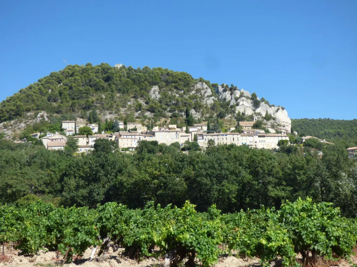 Vignes au premier plan et Séguret accroché à la colline boisée