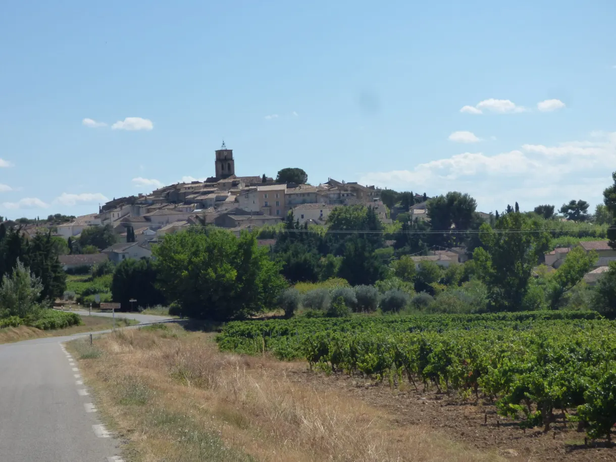 Rangs de vigne et route menant au village juché sur sa butte