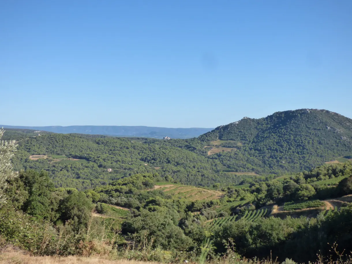 Vallon boisé et coteau couvert de garrigue