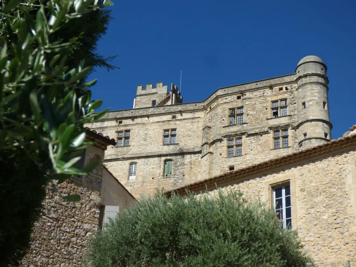 Château de pierre et sa tour ronde derrière un olivier