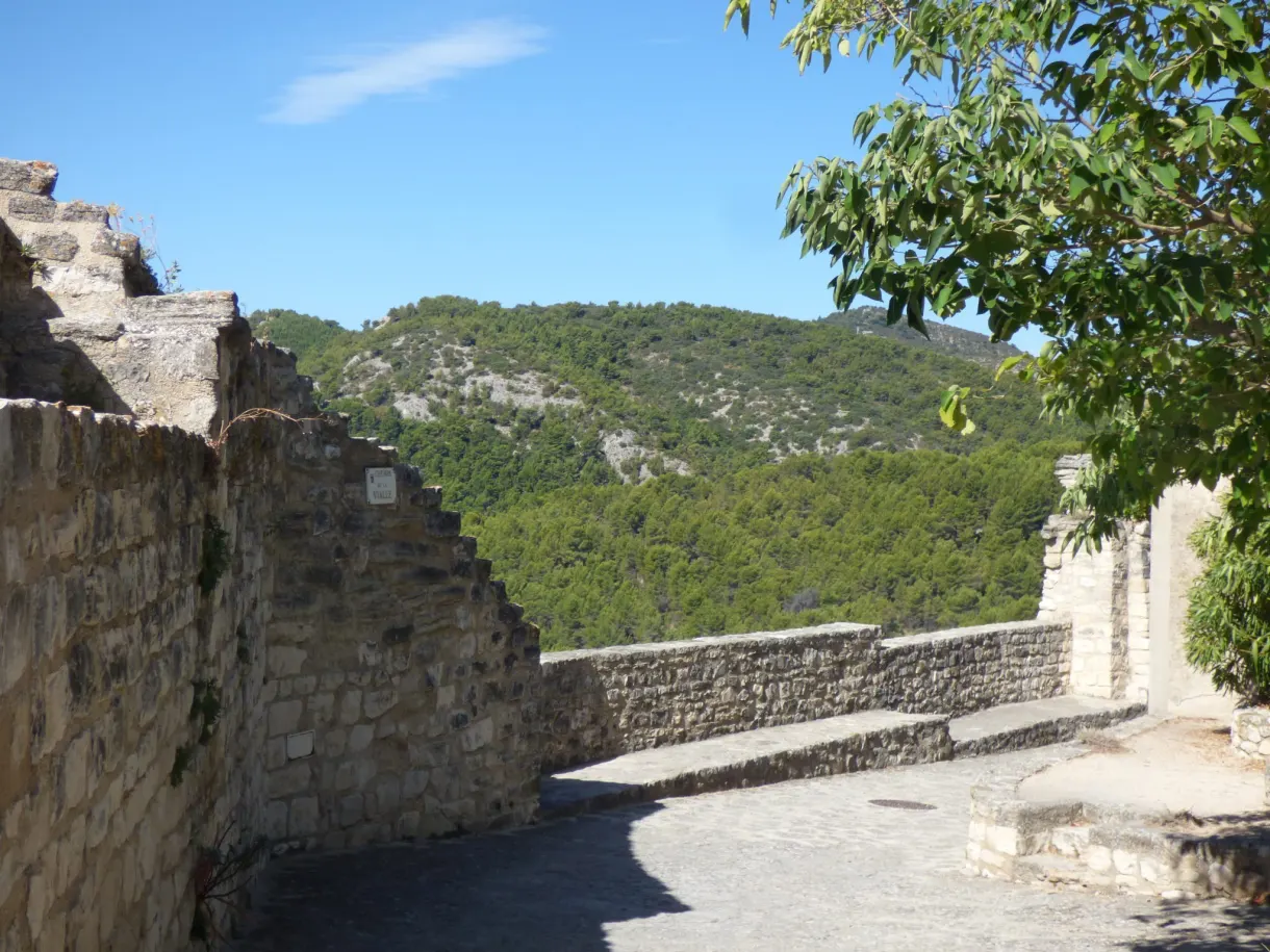 Pan de mur en ruine ouvrant sur la colline boisée