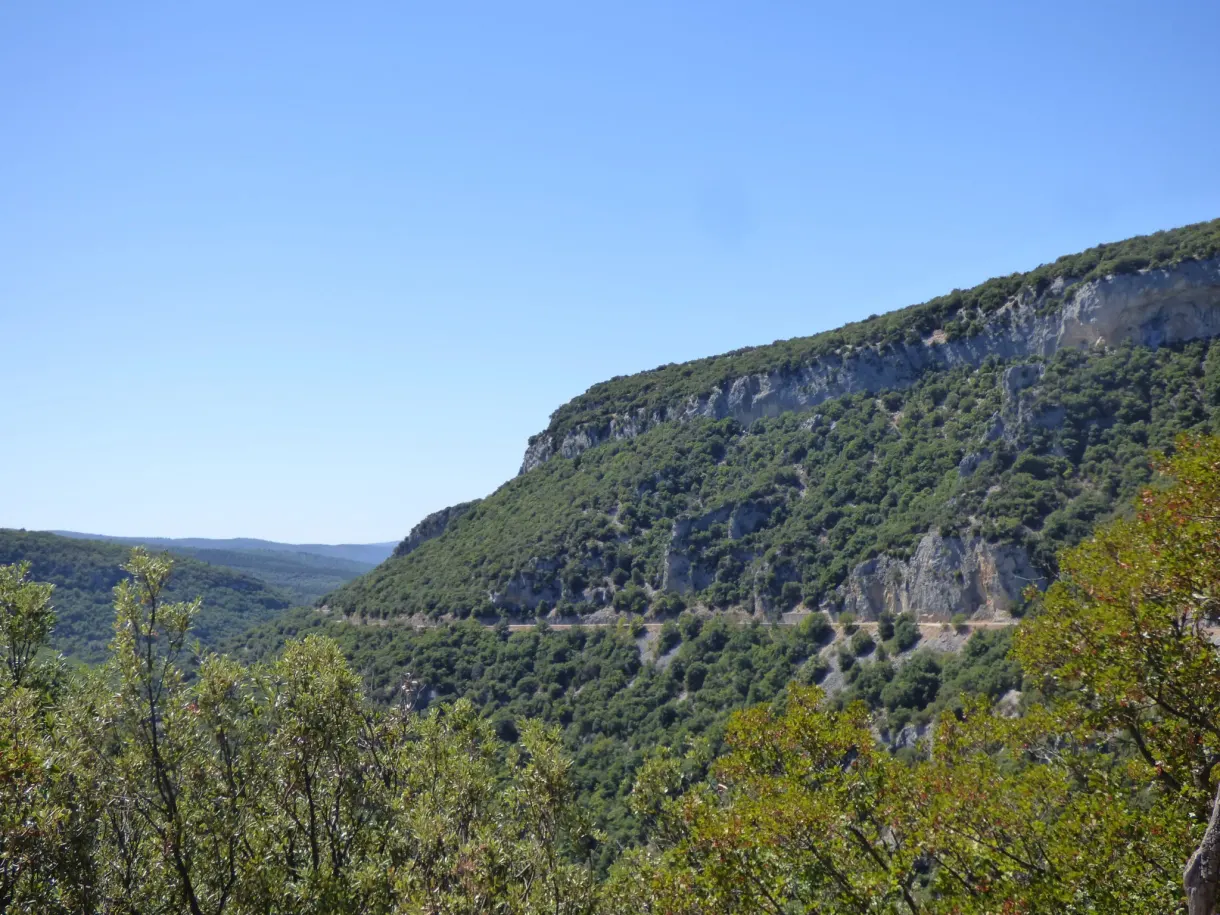 Barre calcaire et versant boisé plongeant dans les gorges