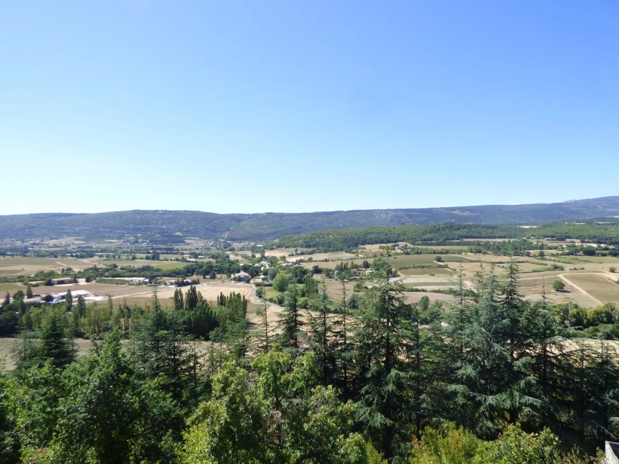 Plaine cultivée et ligne de collines derrière les frondaisons