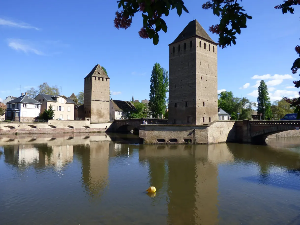 Tours des Ponts Couverts sous les branches d'un grand arbre
