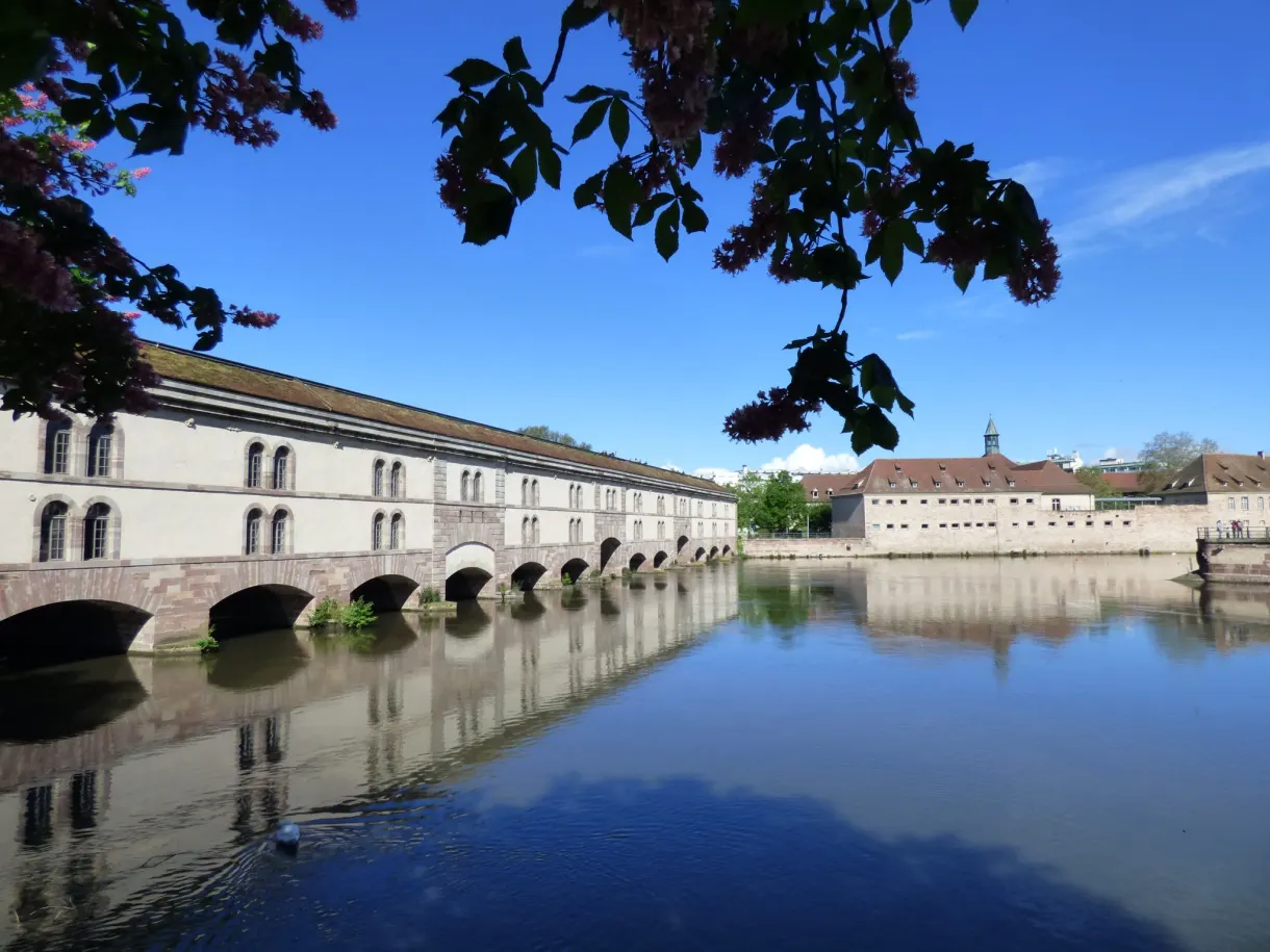 Arches du barrage alignées sous un ciel bleu, feuillage en surplomb