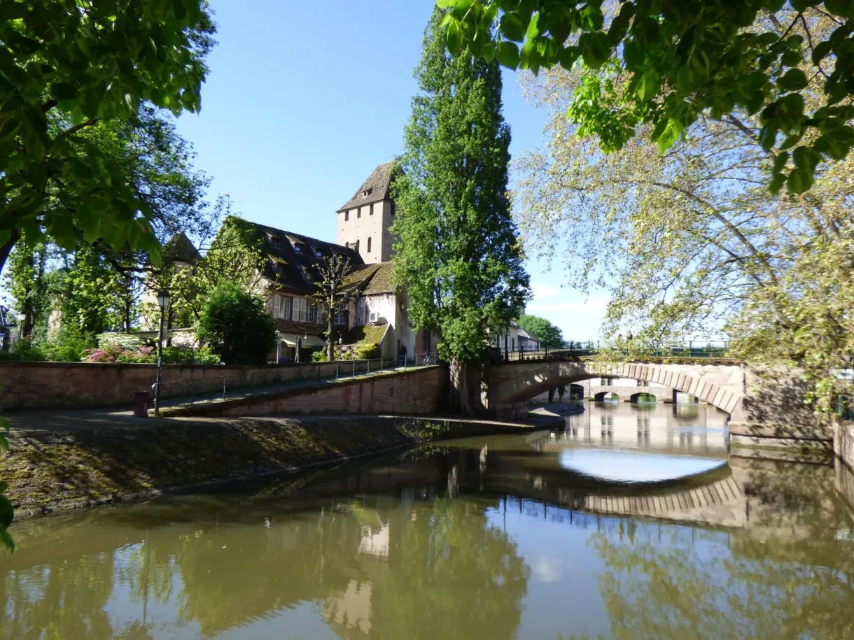 Passerelle basse et tour médiévale entrevues à travers les arbres
