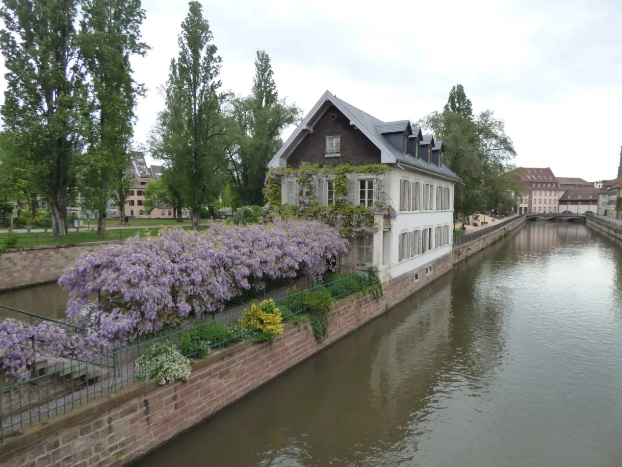 Maison couverte de lierre et de glycine au bord du canal
