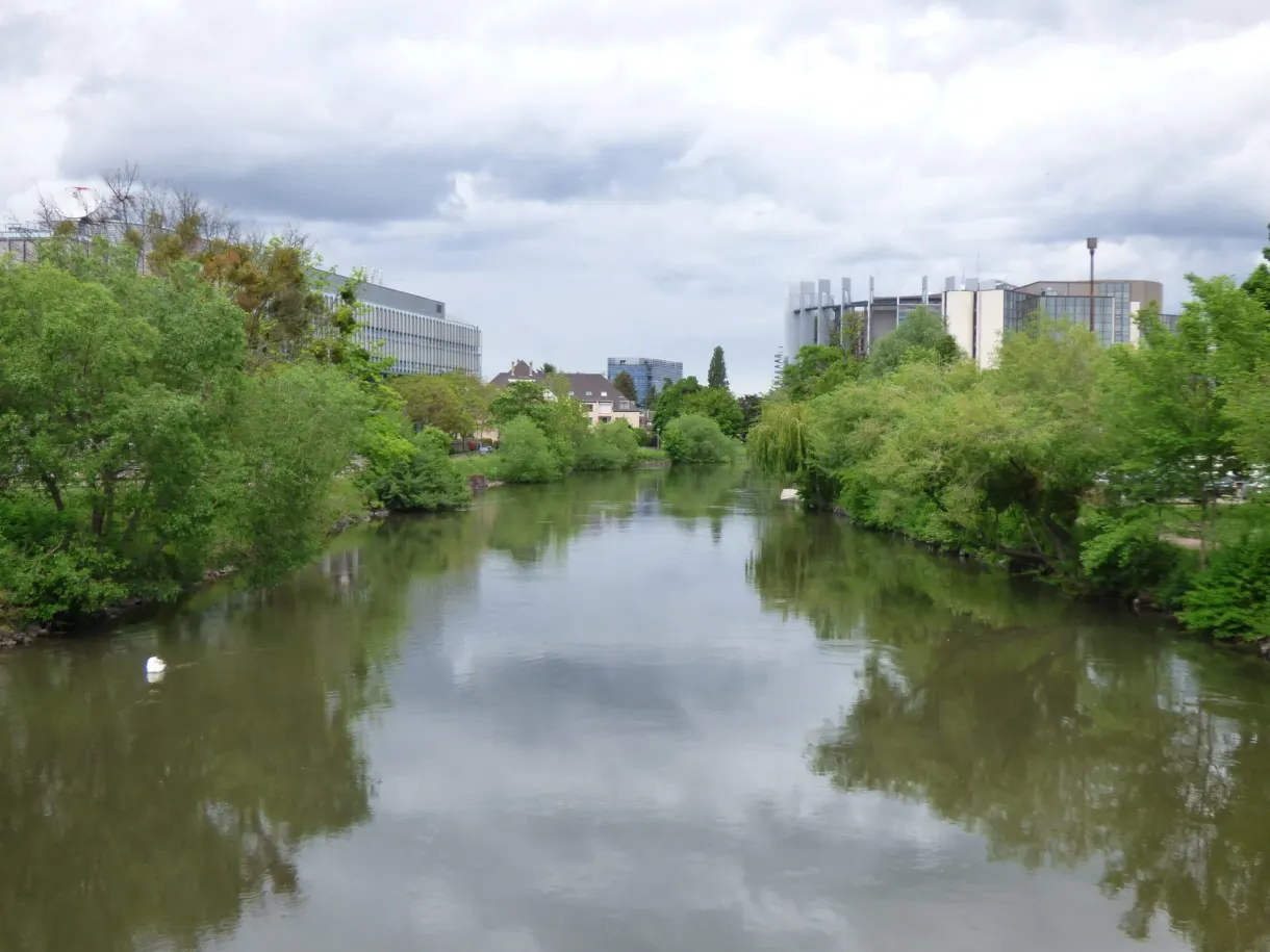 Bras de rivière bordé d'arbres devant des immeubles modernes
