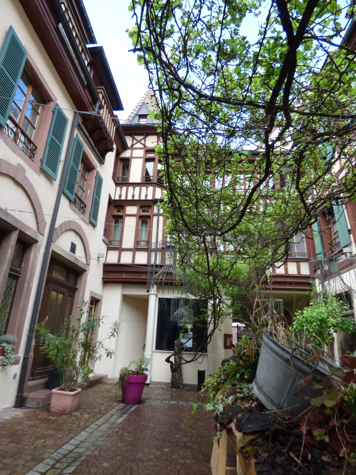 Petite cour pavée fleurie derrière les maisons anciennes