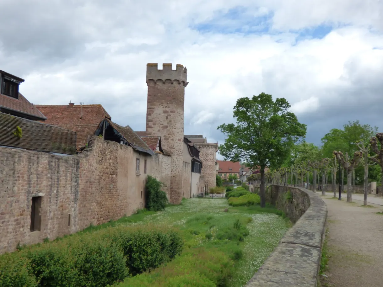 Tour carrée et mur d'enceinte longeant l'ancien fossé