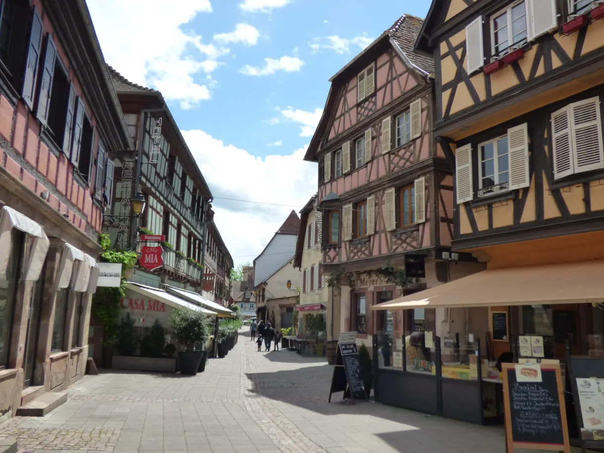 Rue commerçante bordée de maisons à colombages et d'enseignes