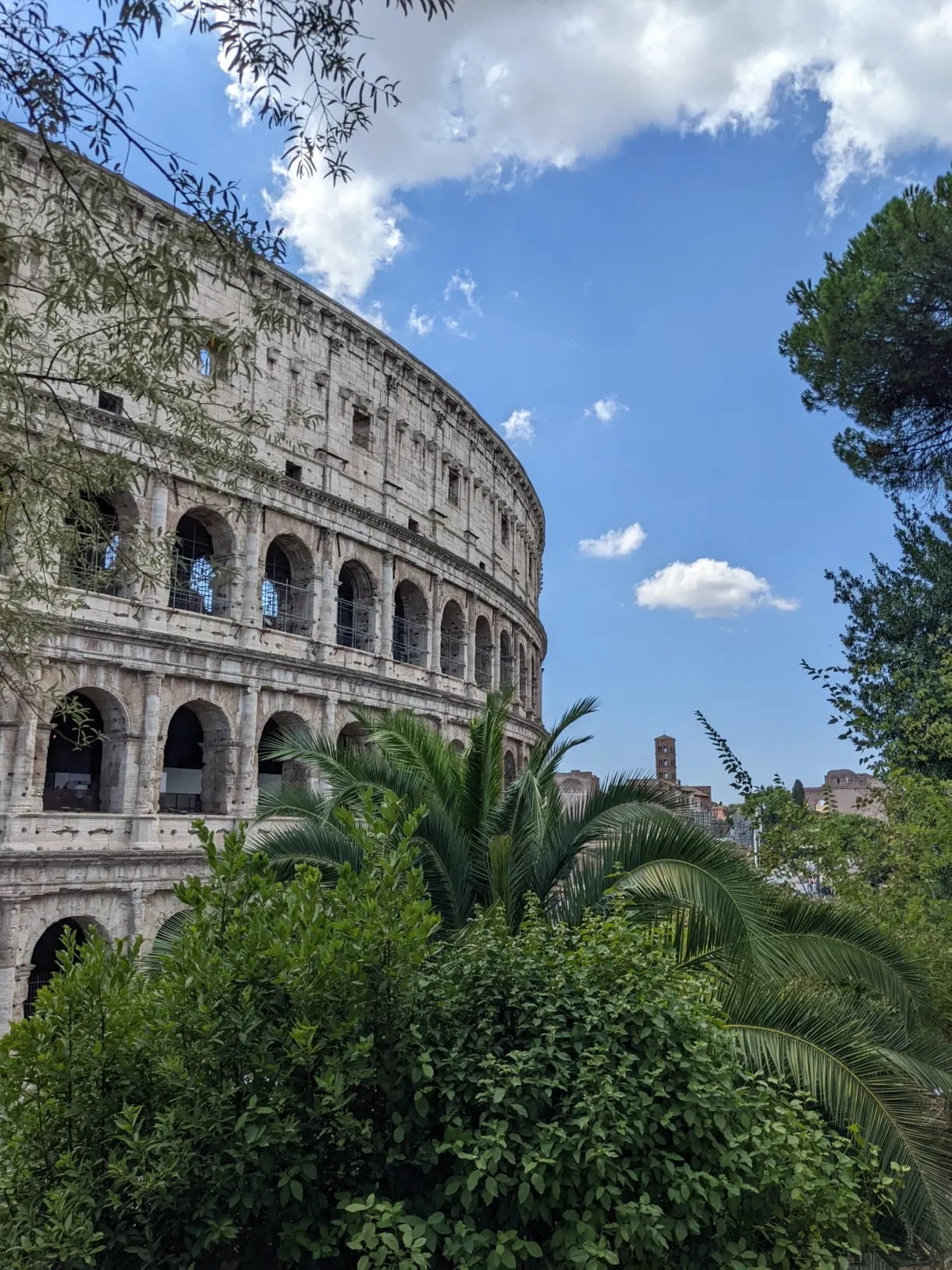 Amphithéâtre surgissant derrière un rideau de verdure