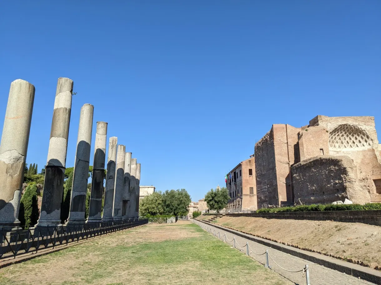 Rangée de fûts de colonnes le long d'une pelouse du Forum