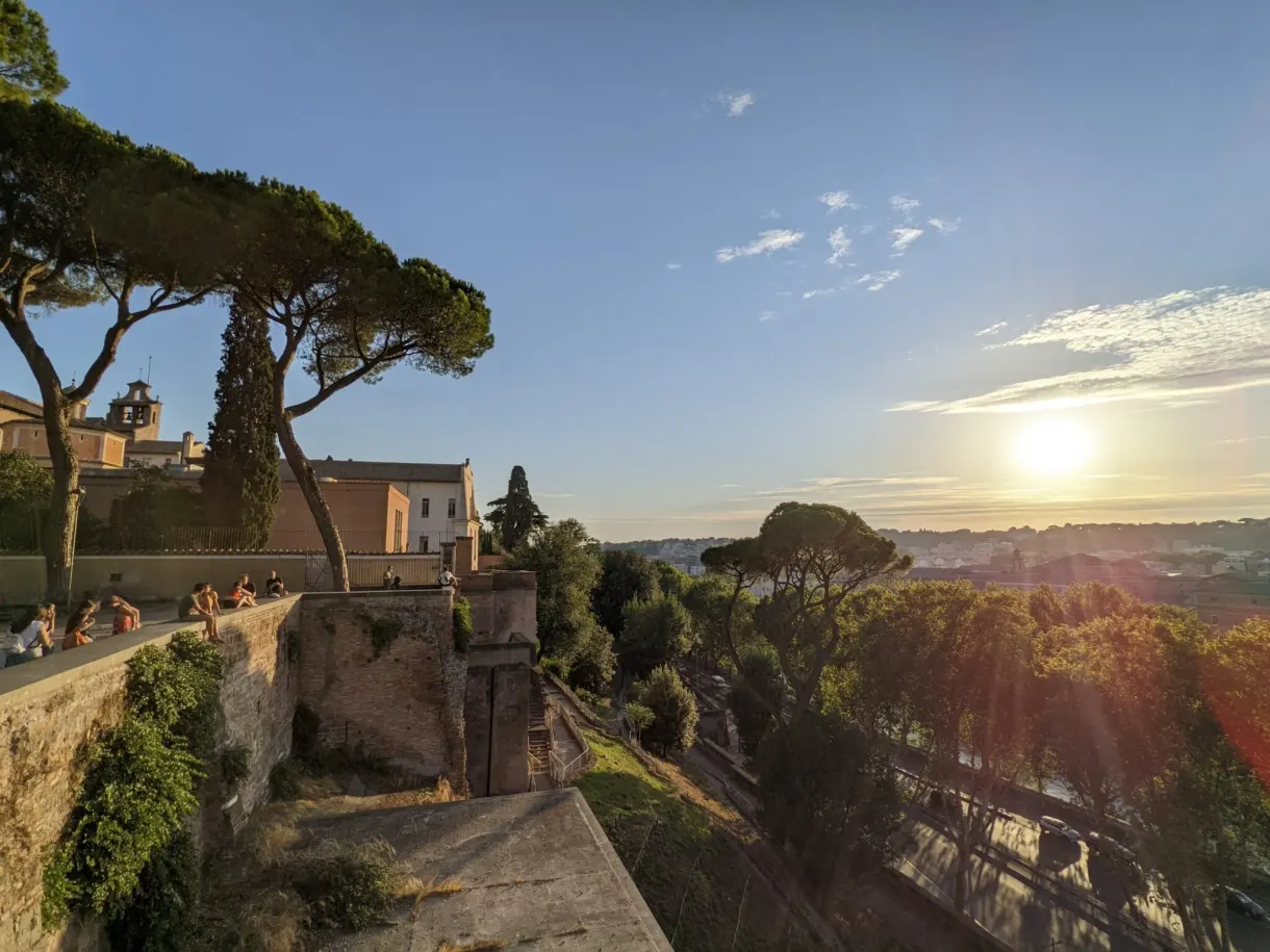 Soleil couchant filtrant entre les pins depuis un belvédère