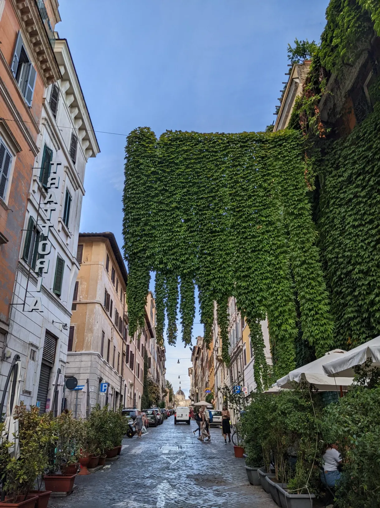 Rue en pente tapissée de lierre entre les façades ocre