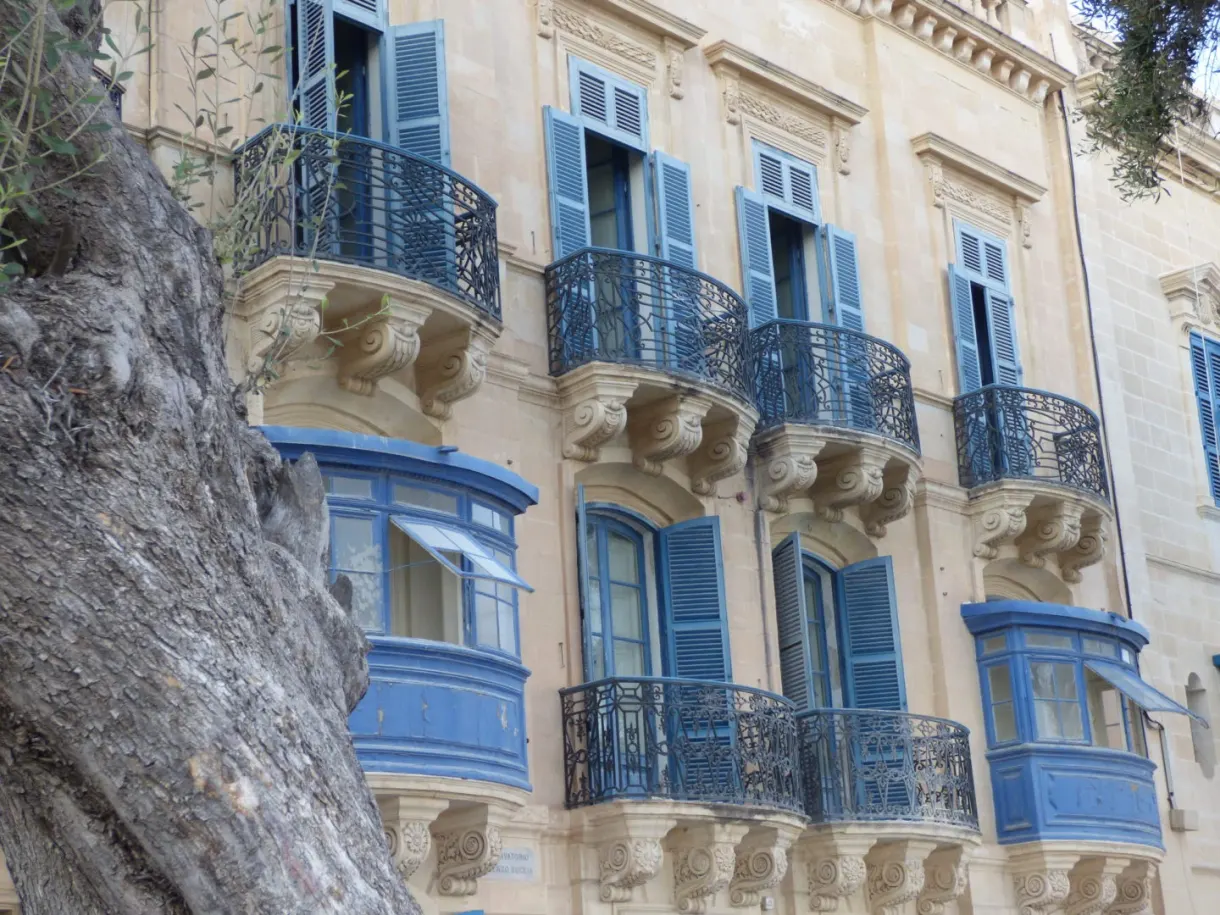 Balcons bleus et ferronneries derrière un tronc noueux