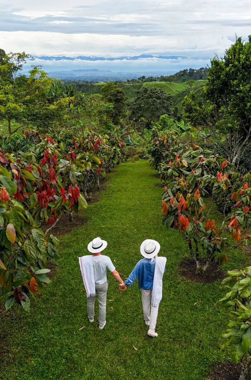 Marie et Romain main dans la main, en chapeau colombien, dans une plantation de cacao en Colombie