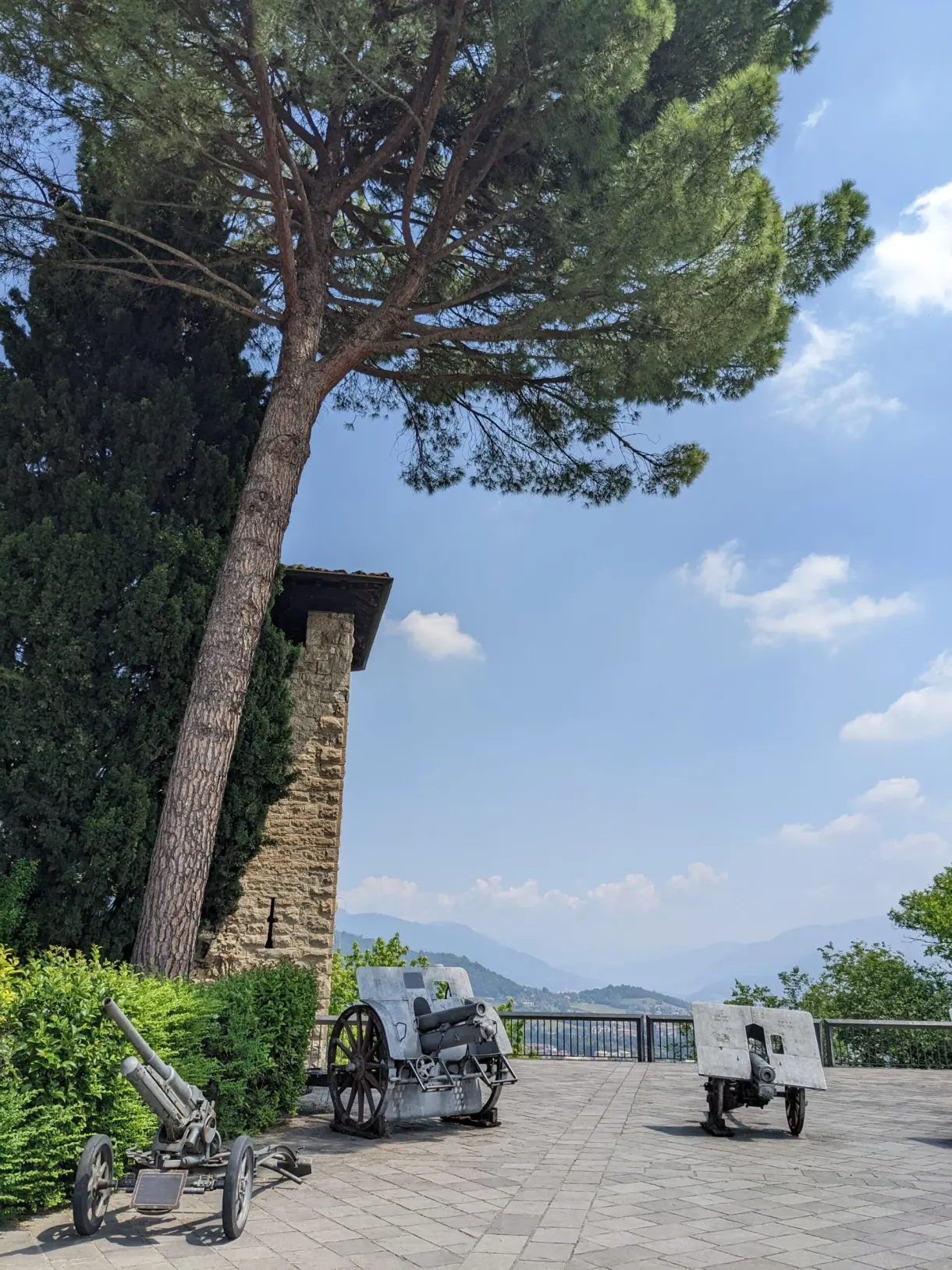 Canons anciens alignés sur une terrasse ombragée d'un grand pin