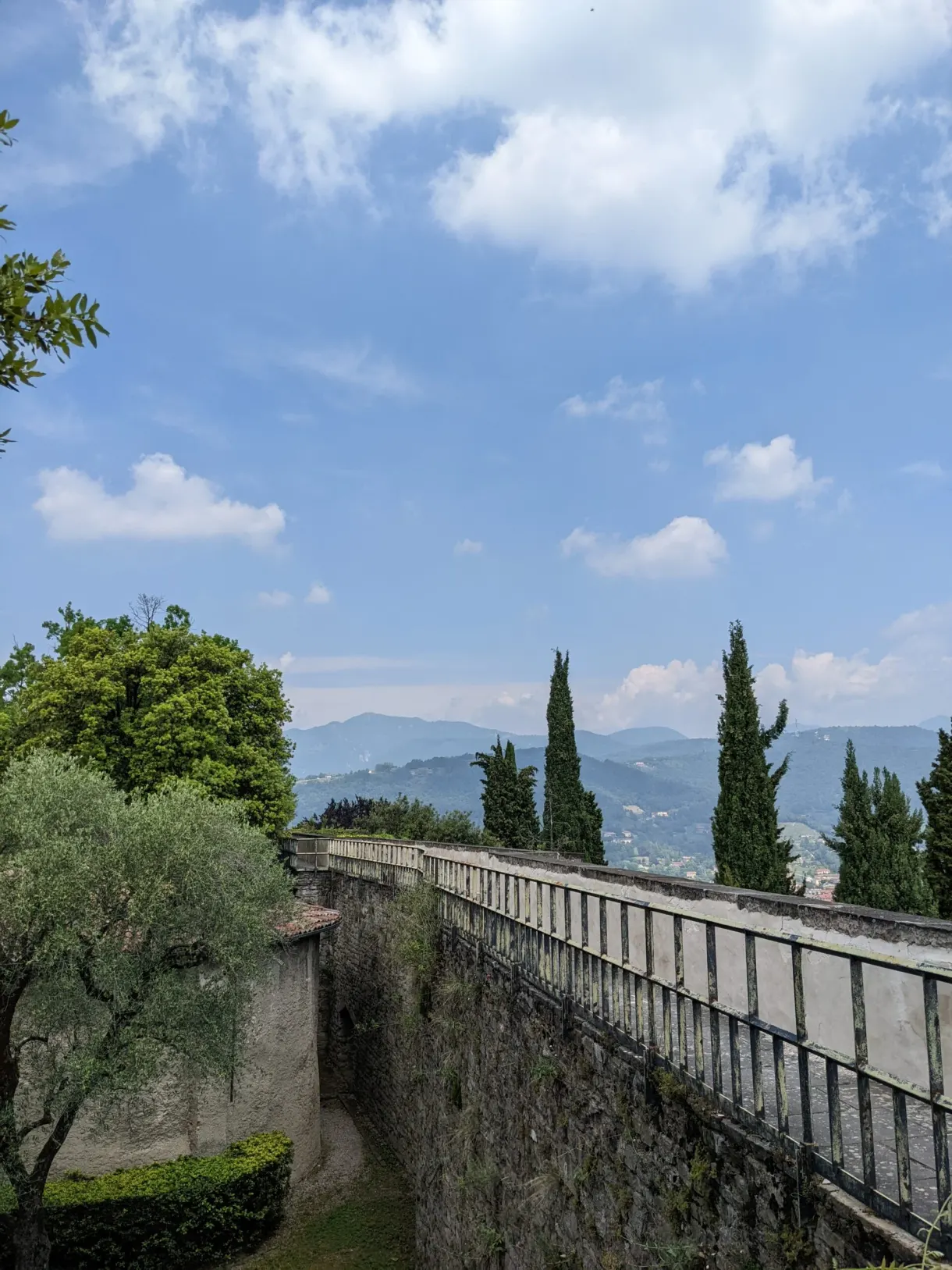 Allée bordée d'un mur bas et de cyprès sous les nuages