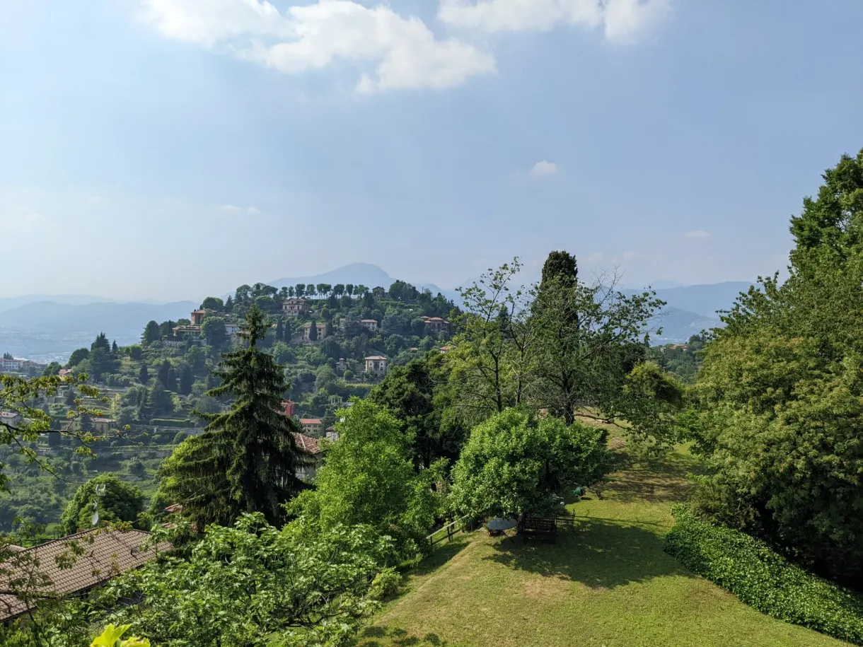 Pelouse en terrasse ouverte sur les collines boisées