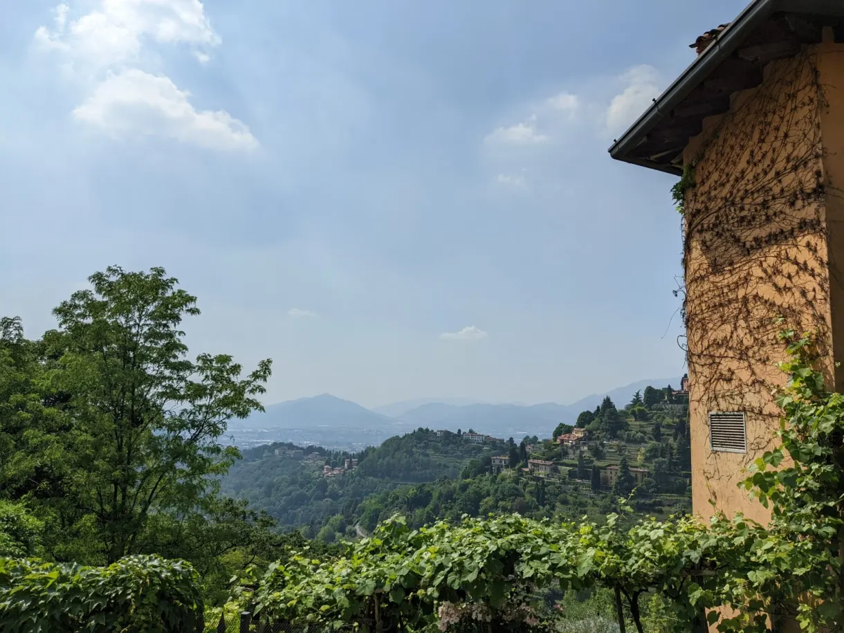 Pergola de vigne accrochée à une vieille façade, collines derrière