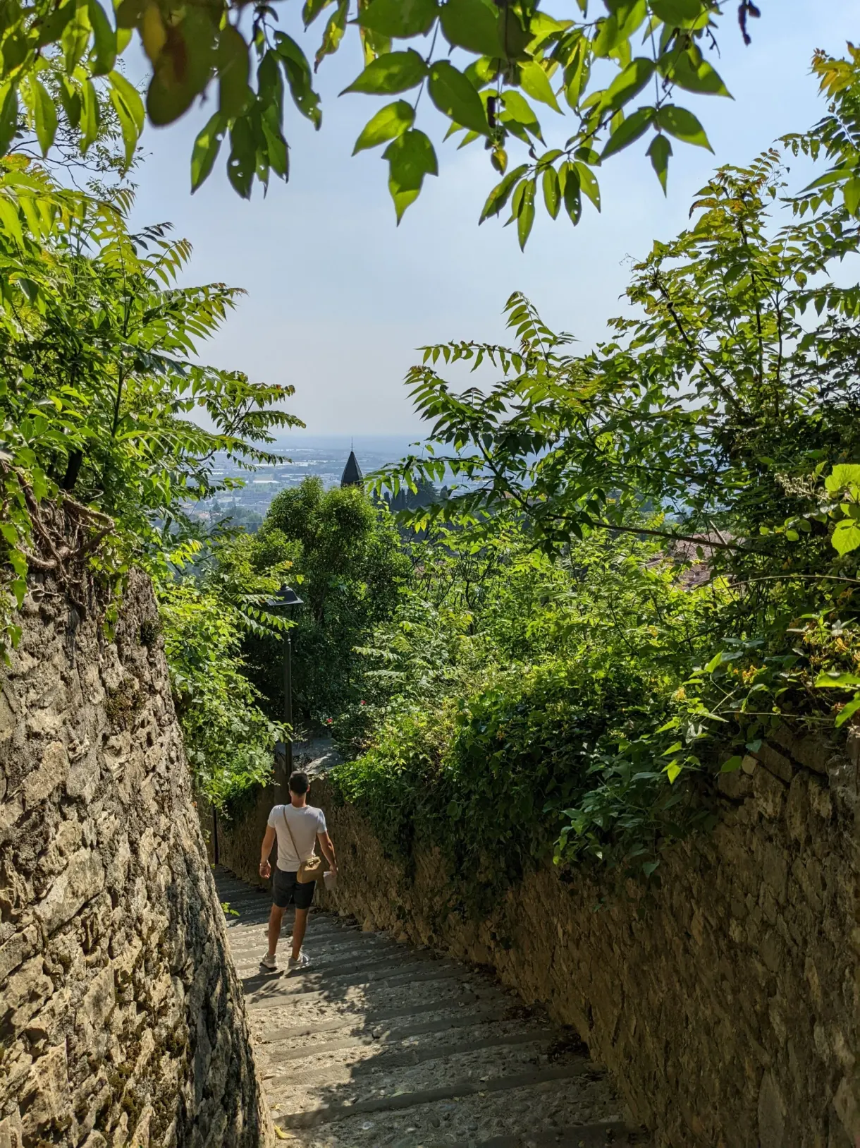 Marcheur de dos sur un sentier ombragé en descente