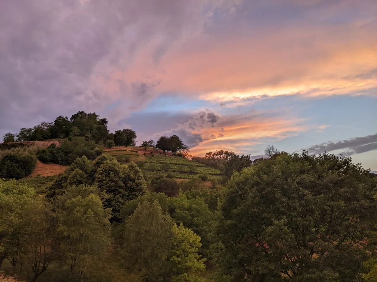 Ciel rose et orangé au-dessus d'une colline boisée