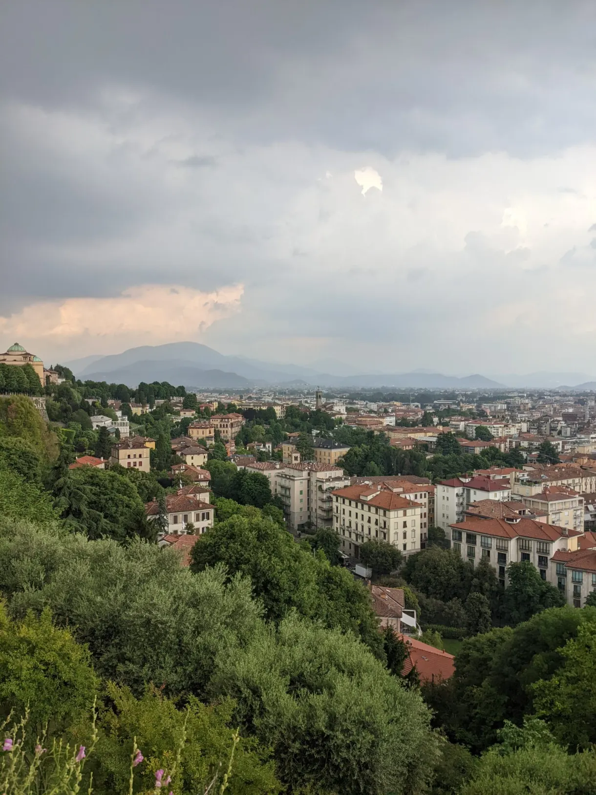 Ville basse et plaine vues depuis les hauteurs boisées
