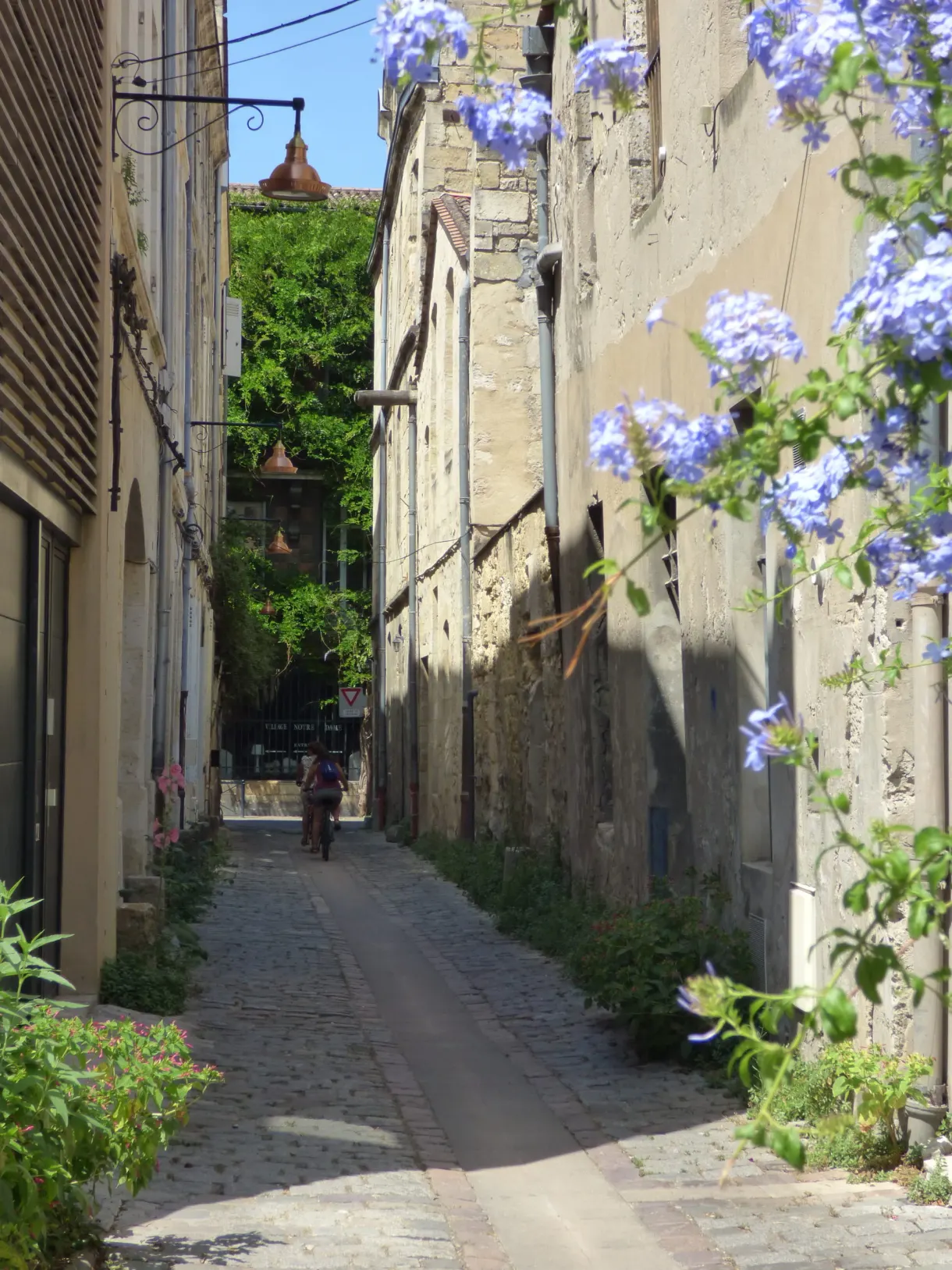 Ruelle pavée resserrée, grappes de fleurs bleues en surplomb