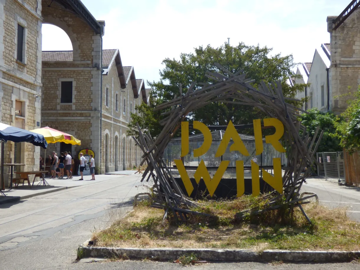 Enseigne Darwin en lettres dorées sur une structure de branchages