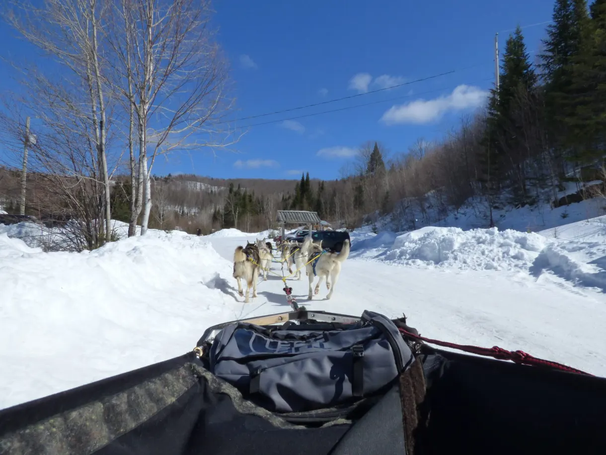 Attelage tirant le traîneau sur une piste damée
