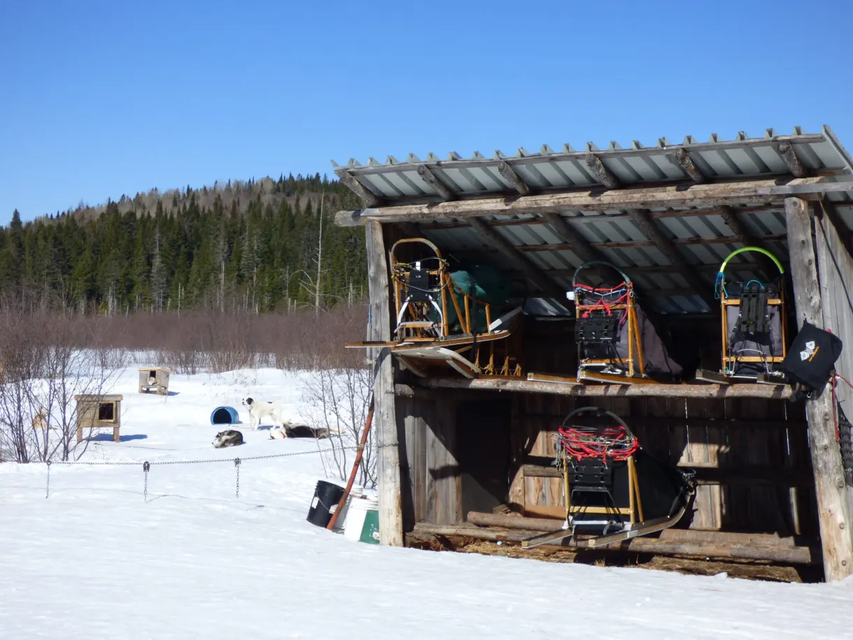 Abri de planches où sont rangés les traîneaux