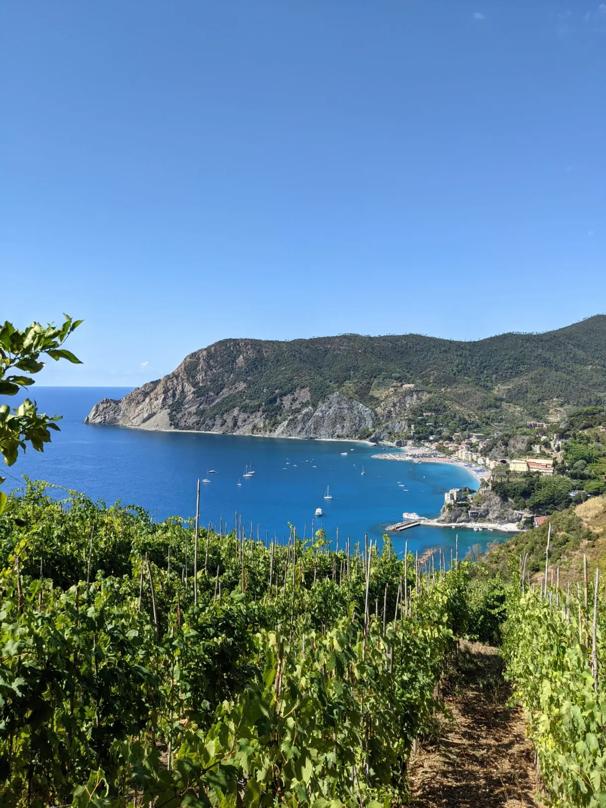 Baie et promontoire aperçus depuis un sentier bordé de végétation