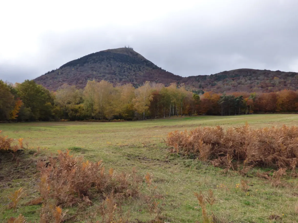 Prairie d'automne au pied du dôme volcanique boisé