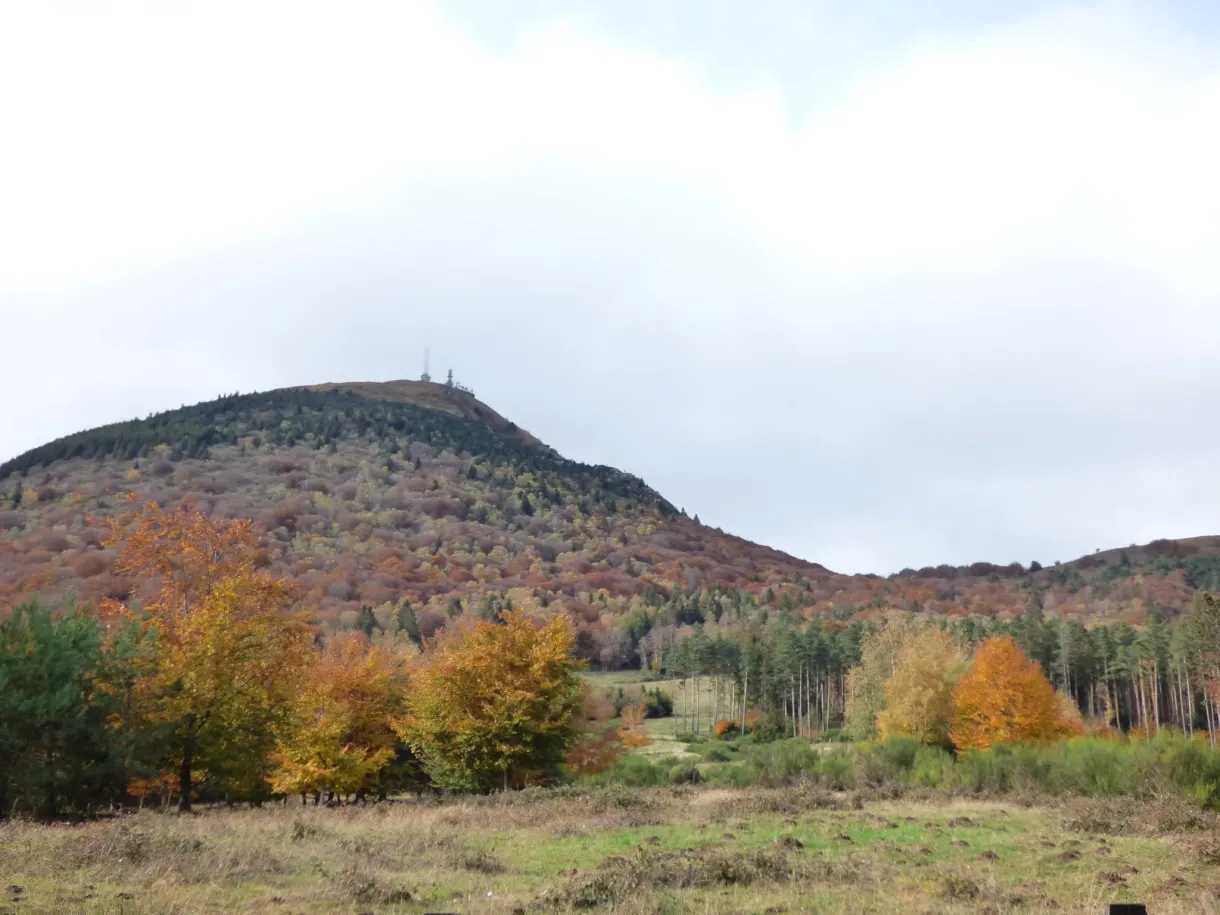 Feuillages orangés devant la silhouette arrondie du volcan