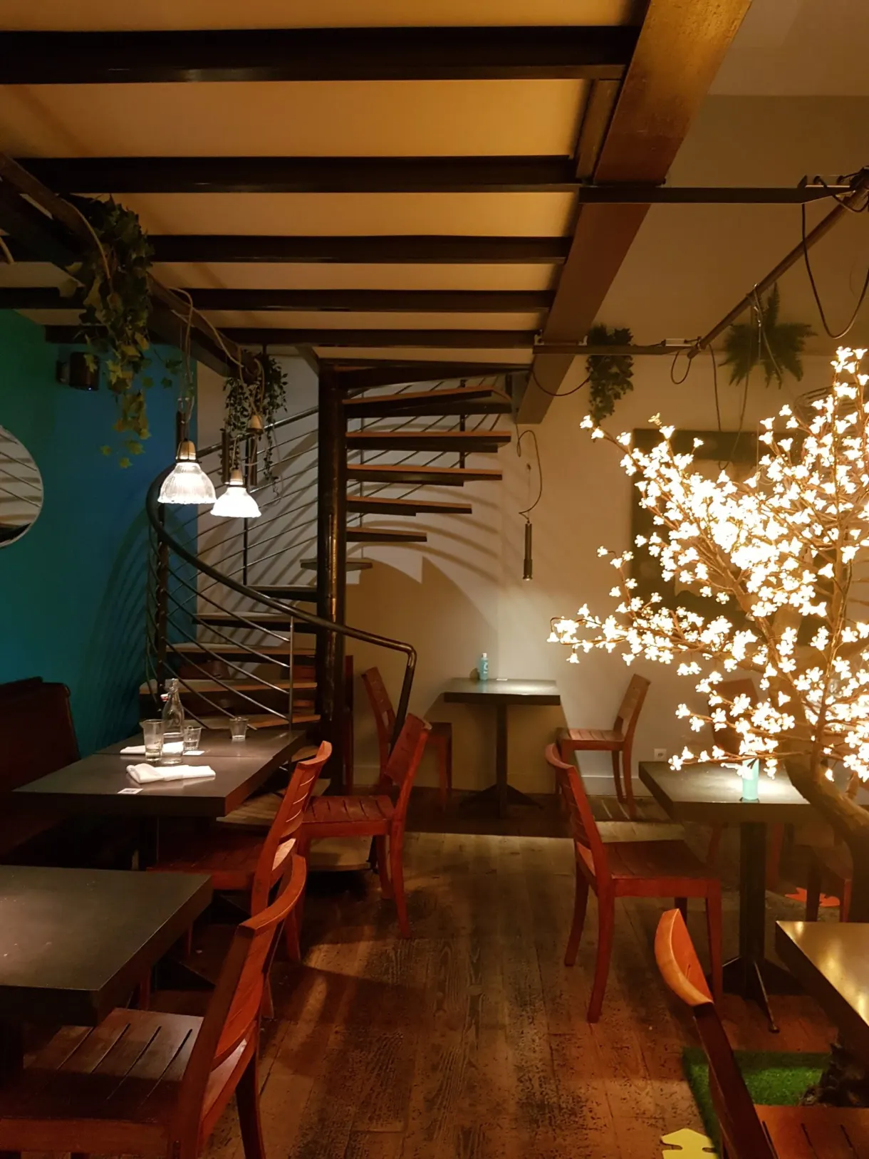 Salle de restaurant chaleureuse et son arbre lumineux