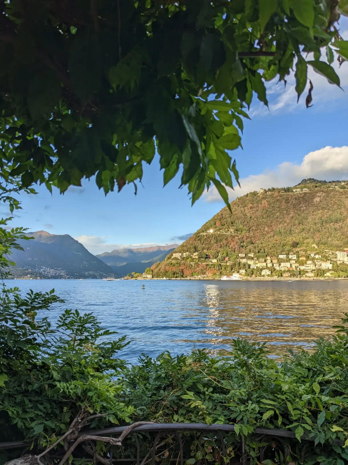 Lac aperçu à travers un rideau de feuillage