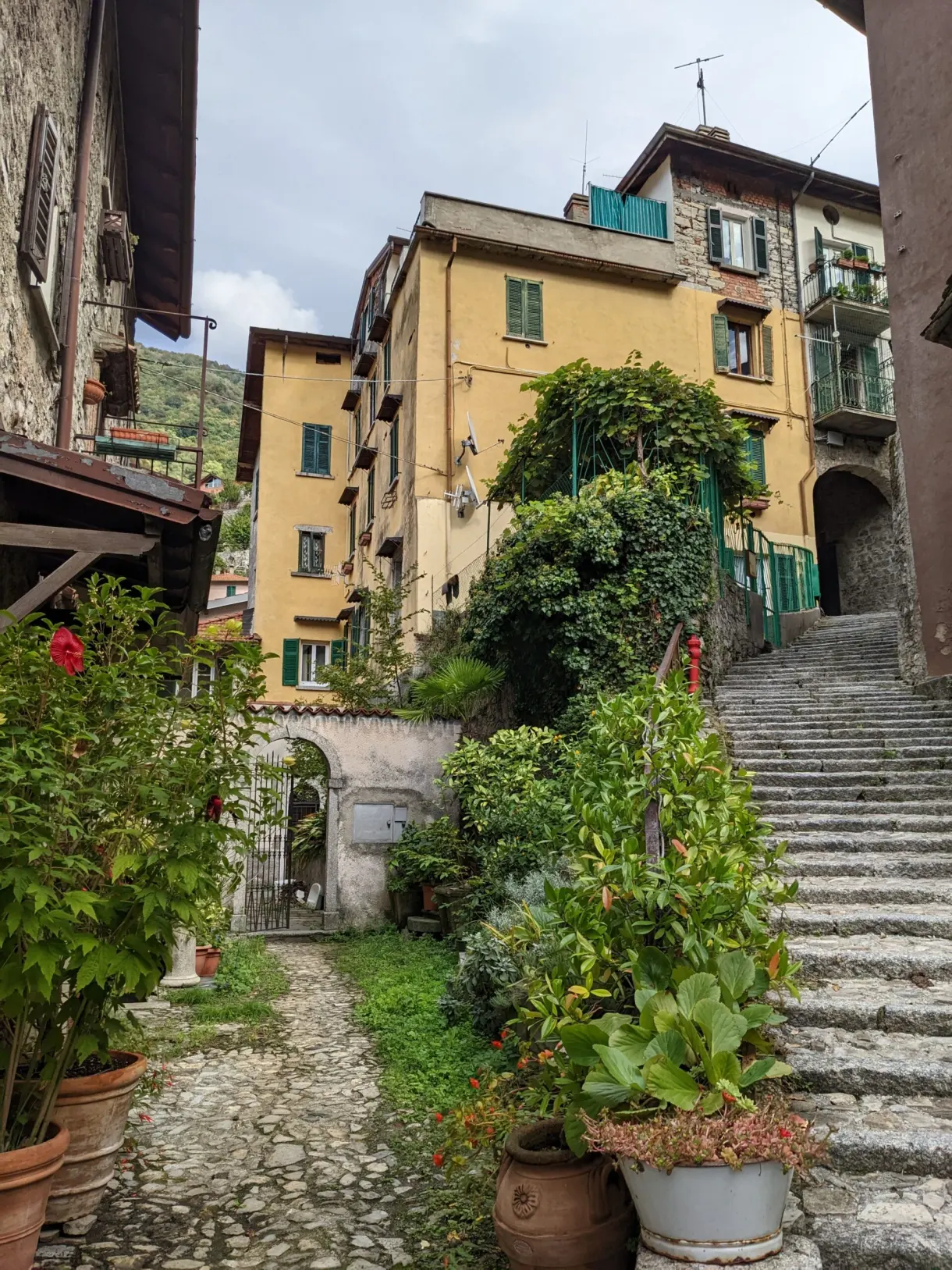 Ruelle en escalier fleurie de pots entre les maisons