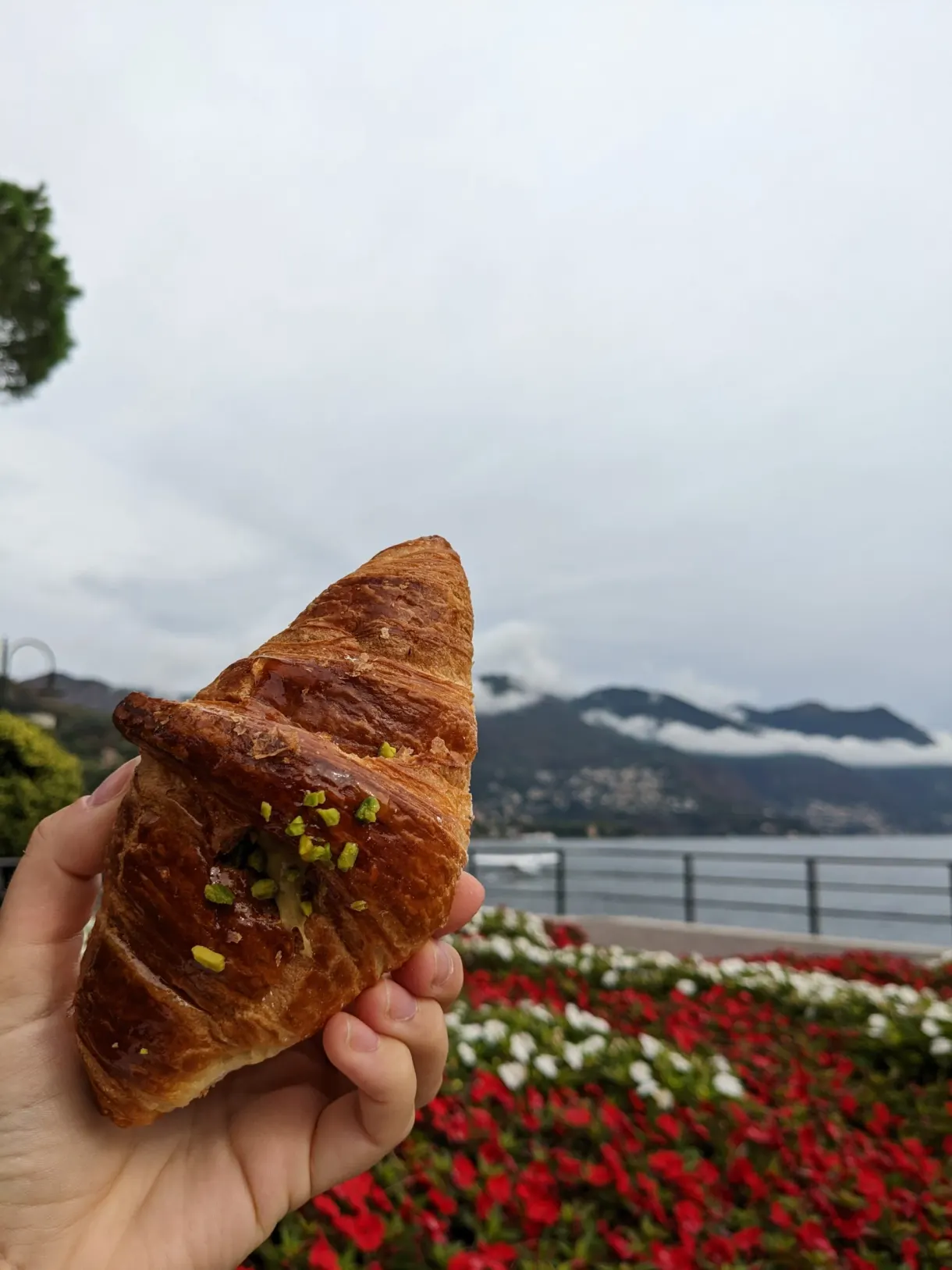 Croissant à la pistache tenu face au lac