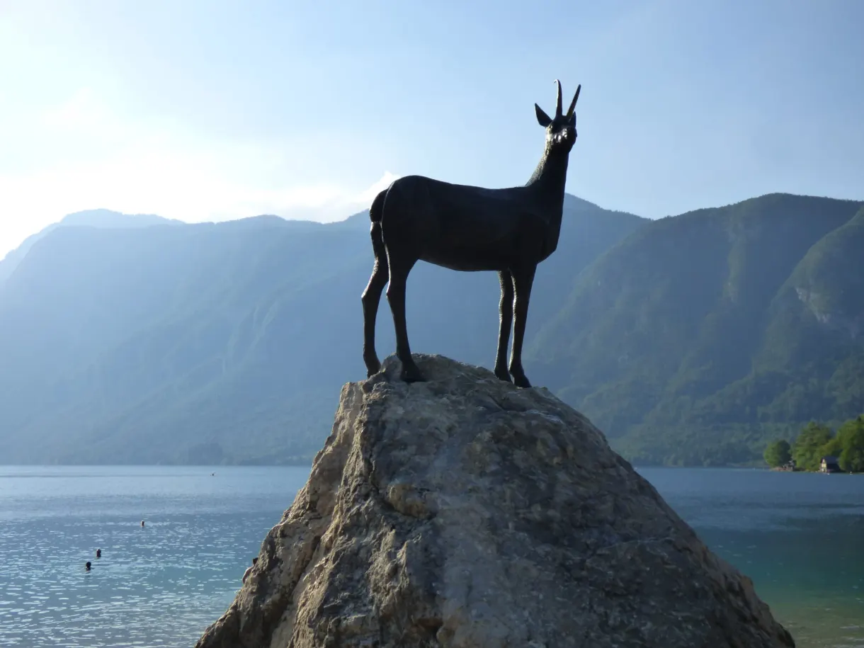 Statue de chamois en bronze dressée sur son rocher